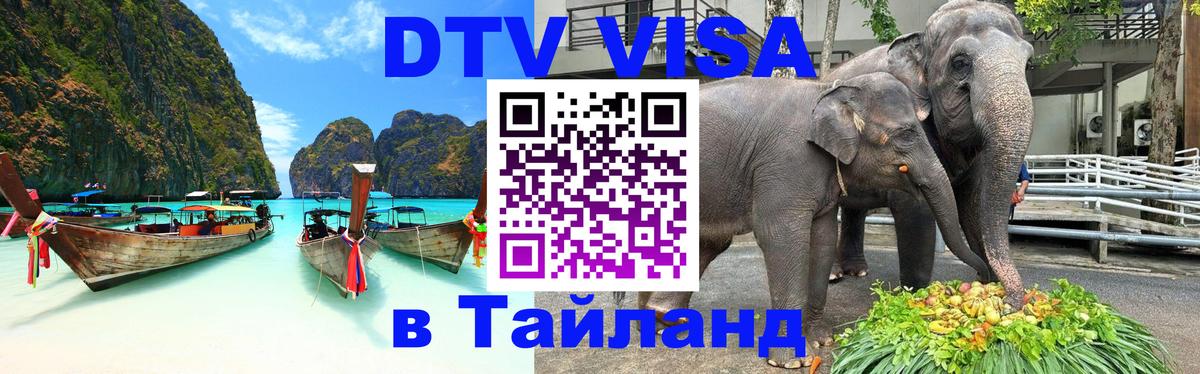 Оформление DTV визы под ключ: стоимость и тарифы, только загранпаспорт - 